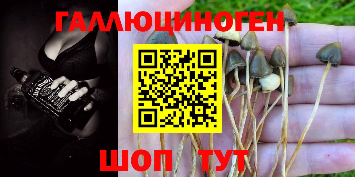 Псилоцибиновые грибы ЛСД Бугульма