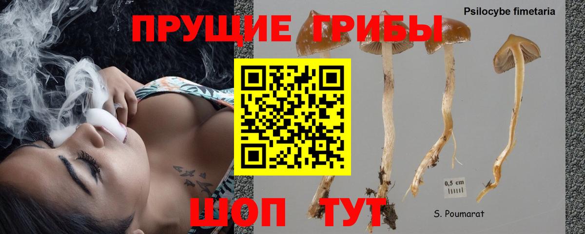 Псилоцибиновые грибы мицелий  Вход с VPN  где найти наркотики  Бугульма 